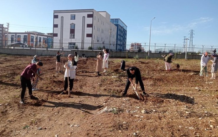 ADYÜ’lü Öğrenciler Yurt Bahçesine Fidan Dikti