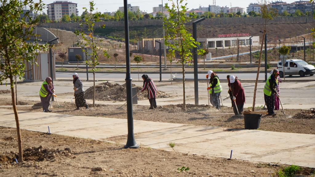Adıyaman Millet Bahçesi Ağaçlandırılıyor