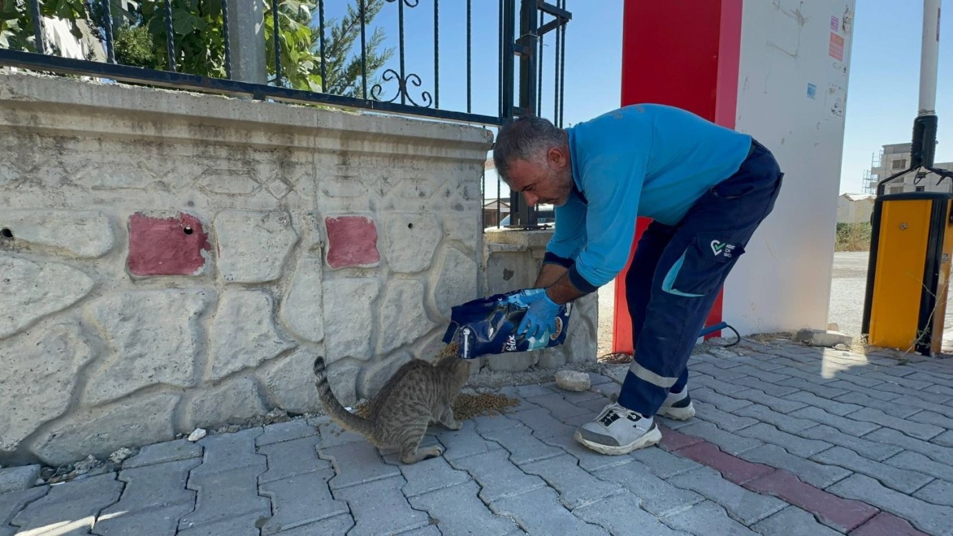 Sokak canlarına mama ve su desteği