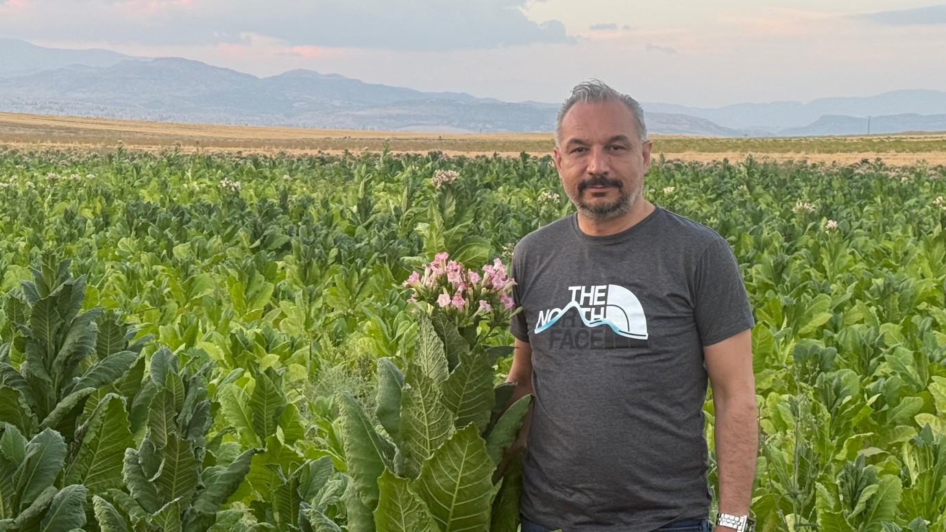 Bereket “Tütün Ekim Alanları Büyüyorsa, Risklerimiz De Artıyor”