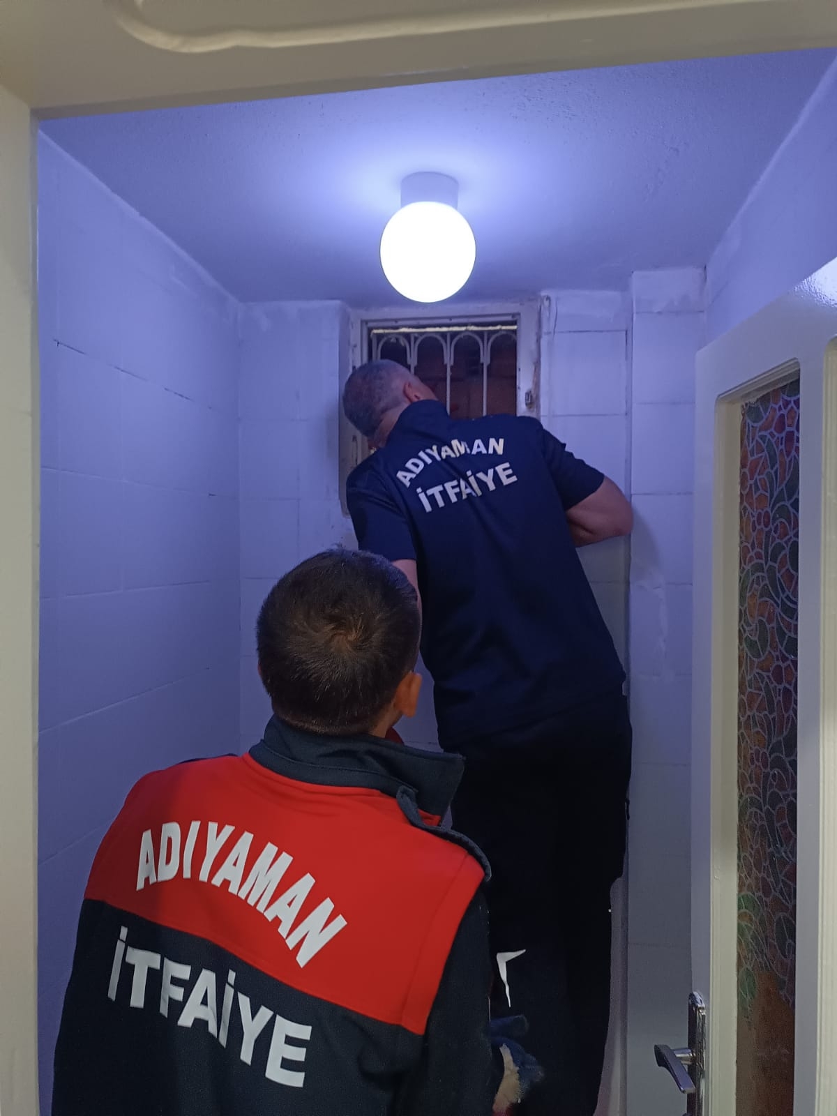 Havalandırma boşluğunda doğum yapan anne kedi ve yavruları kurtarıldı