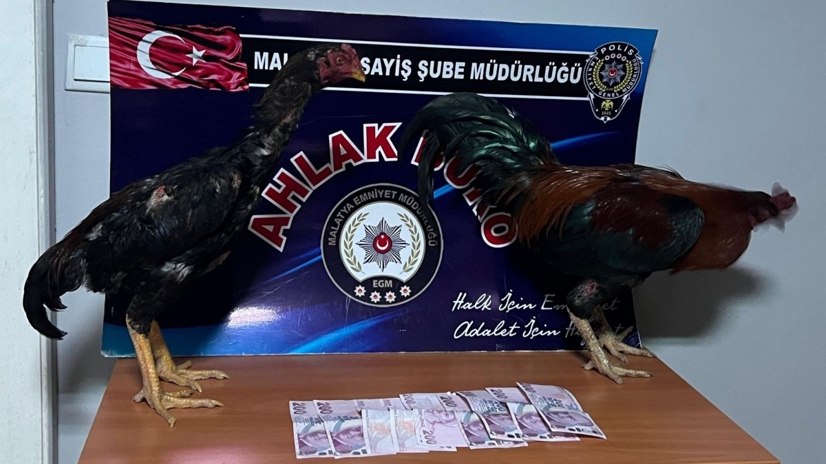 Malatya’da horoz dövüştüren 9 kişiye 57 bin 825 TL ceza