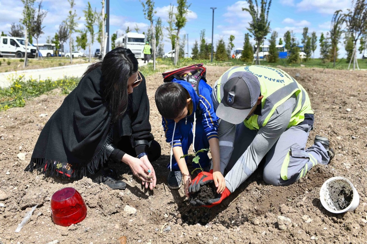 Miniklerin yetiştirdiği meşe fideleri BAKAP’ta  doğayla buluştu