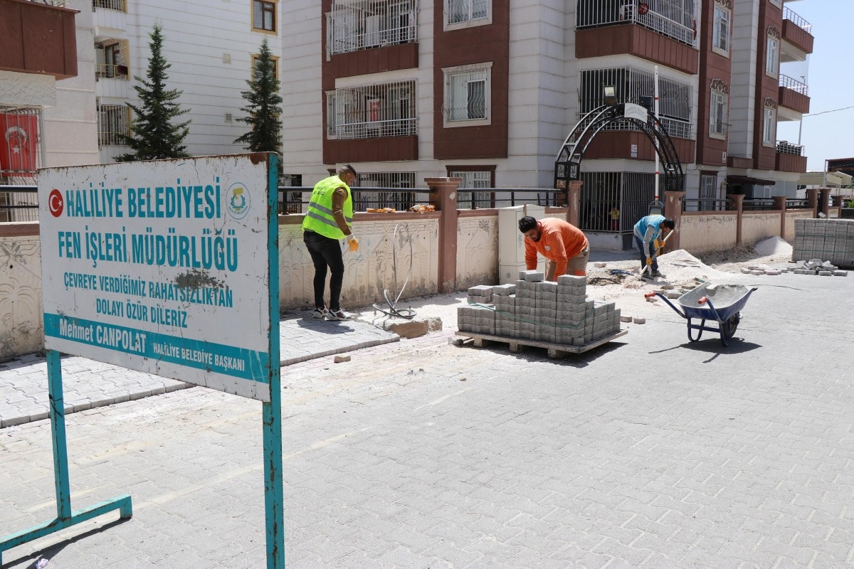 Muhtarlar üstyapı hizmetleri için Başkan Canpolat’a teşekkür etti   - Videolu Haber