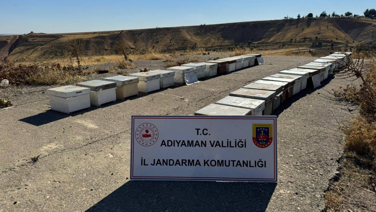 Adıyaman'da 35 arı kovanı hırsızlığına 1 gözaltı