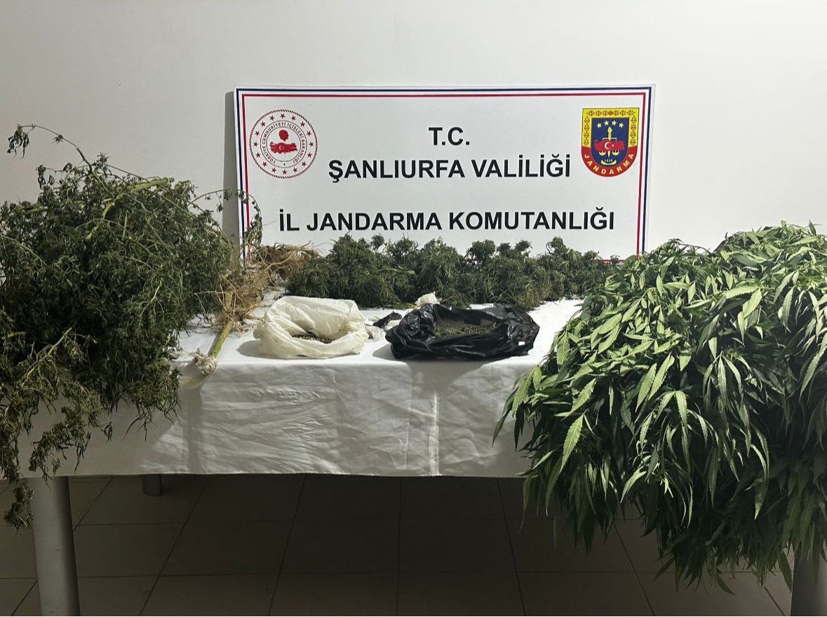Şanlıurfa’da kilolarca uyuşturucu ele geçirildi: 9 gözaltı
