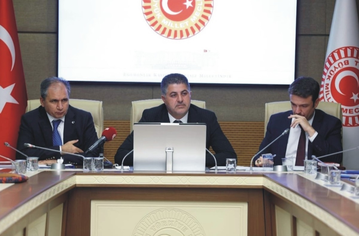 Milletvekili Şan, komisyon başkanlığına getirildi