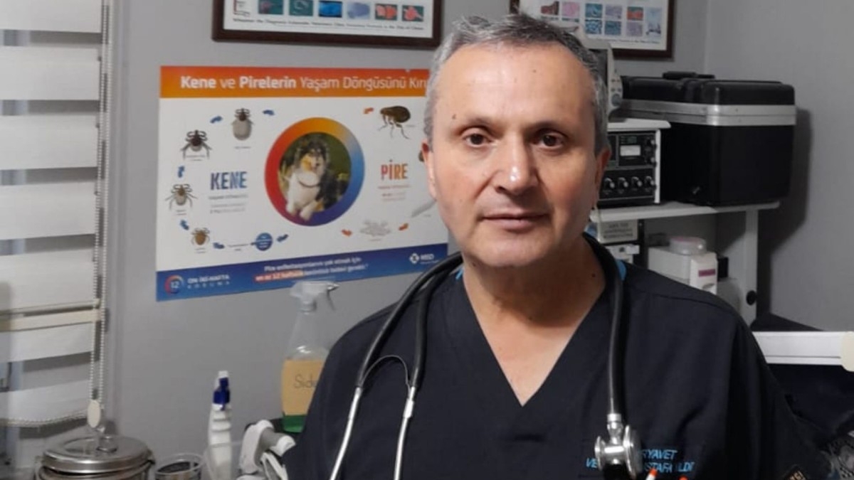 Hayvancılığın gelişimi için örnek proje önerileri: 'Üretmeden tüketmek ekonomiye zarar verir'