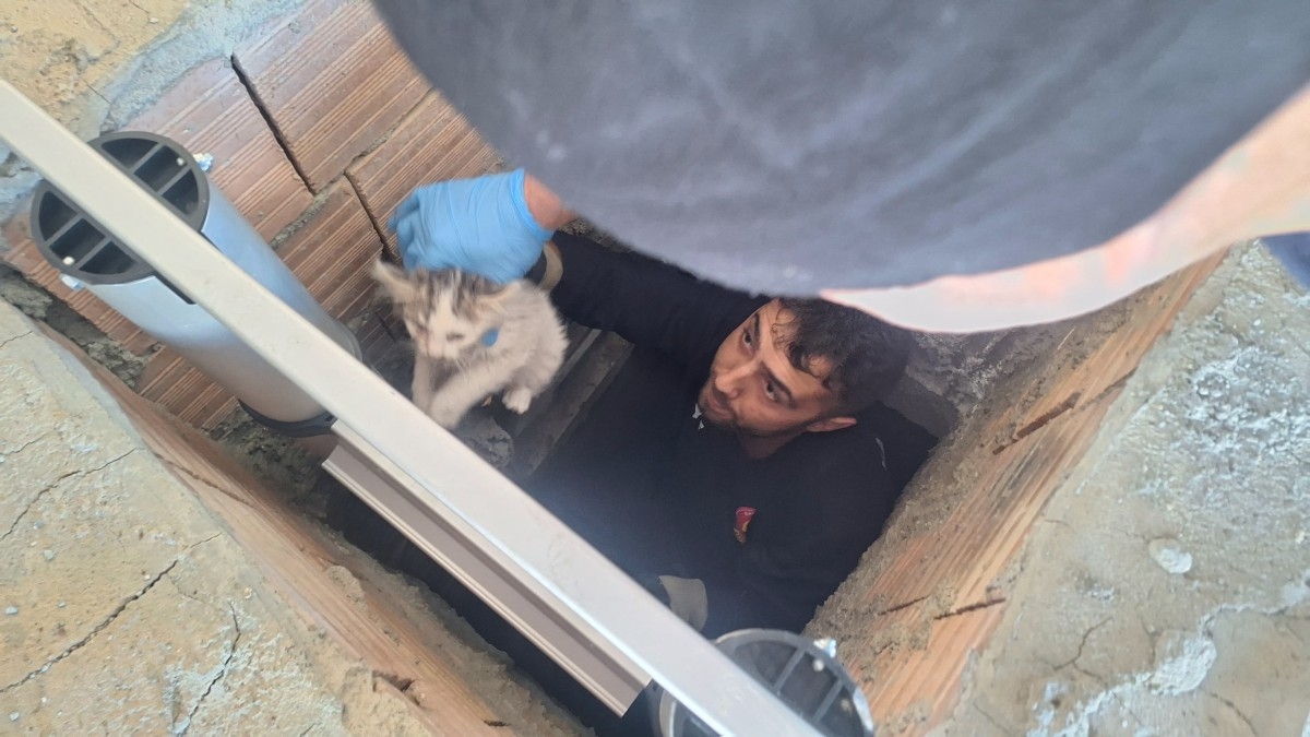Kahta'da havalandırma boşluğuna düşen yavru kedi kurtarıldı