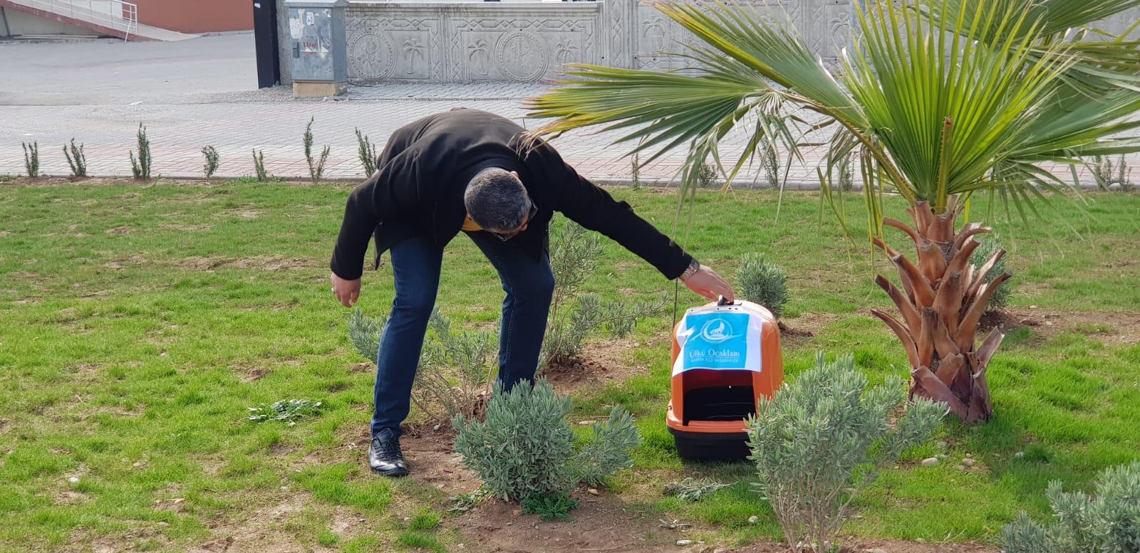Ülkü Ocakları Sokak Hayvanlarını Unutmadı