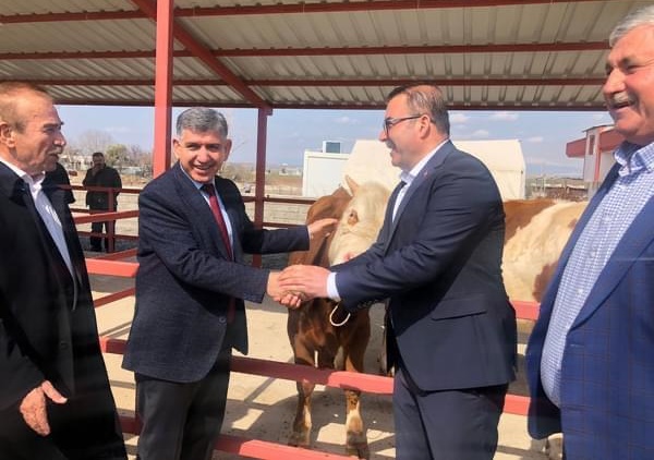 Samsat’ta Hayvan Borsası Hayata Geçti