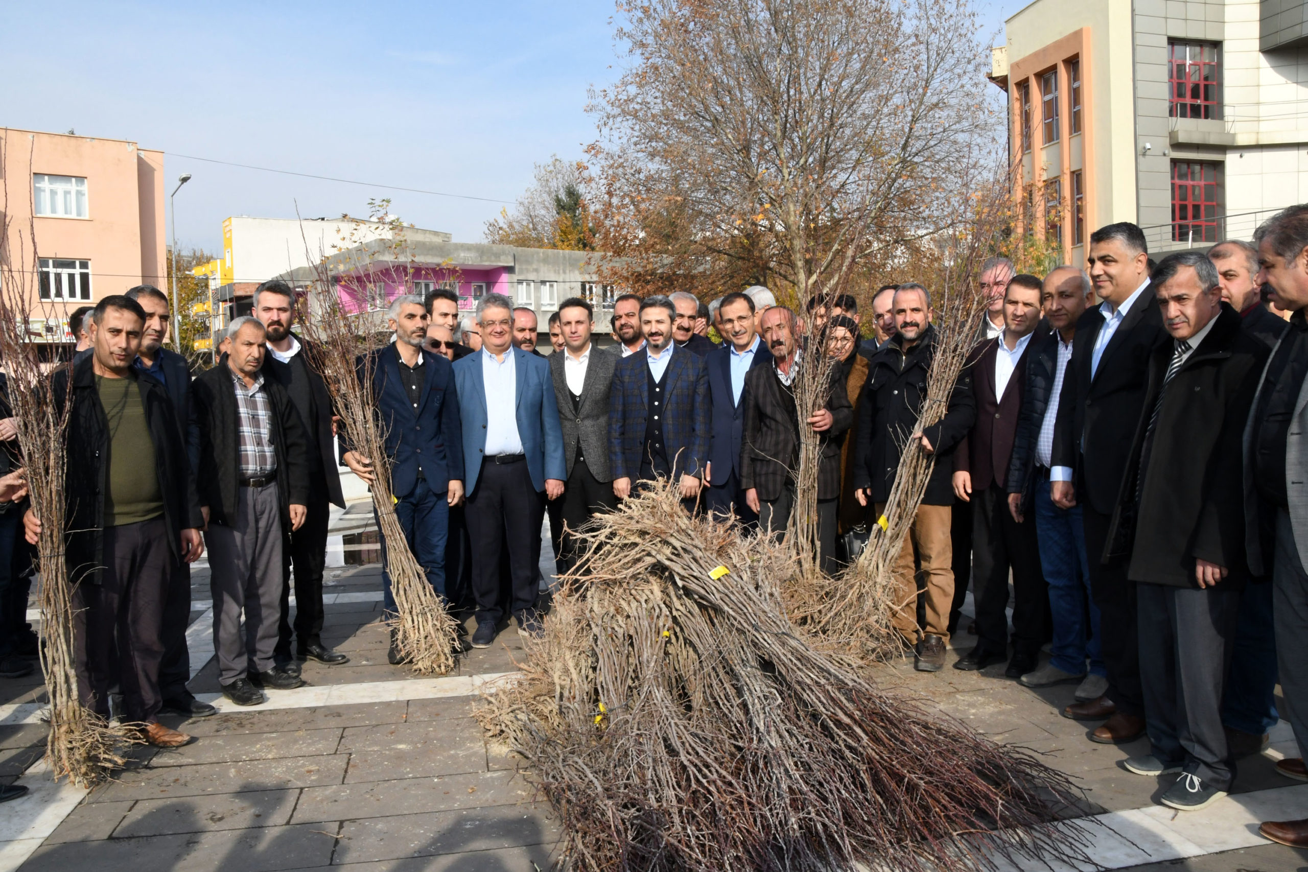 Kahta Bademi Tescilleniyor, Üretim Artıyor