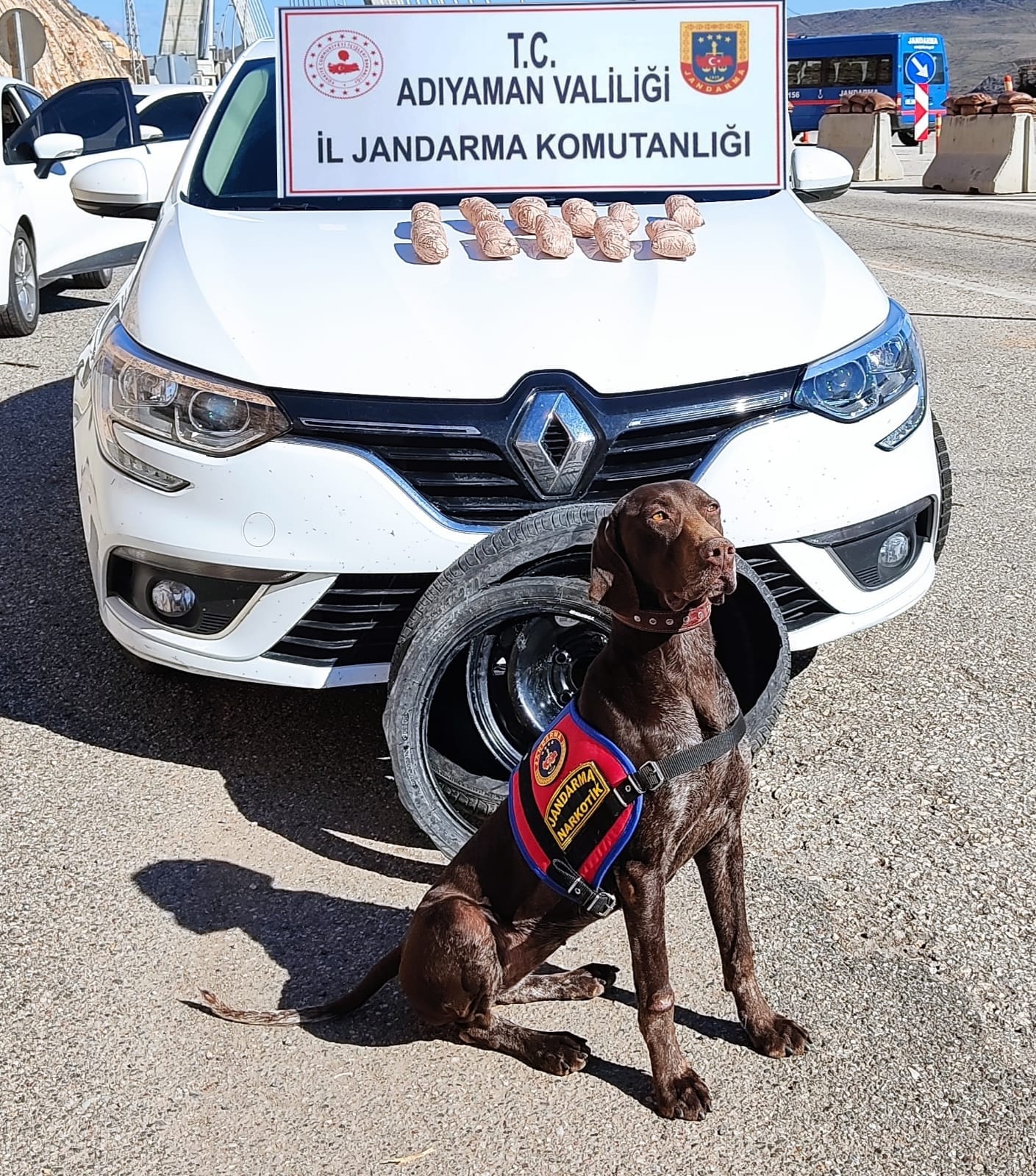 Jandarmadan Uyuşturucu Operasyonu