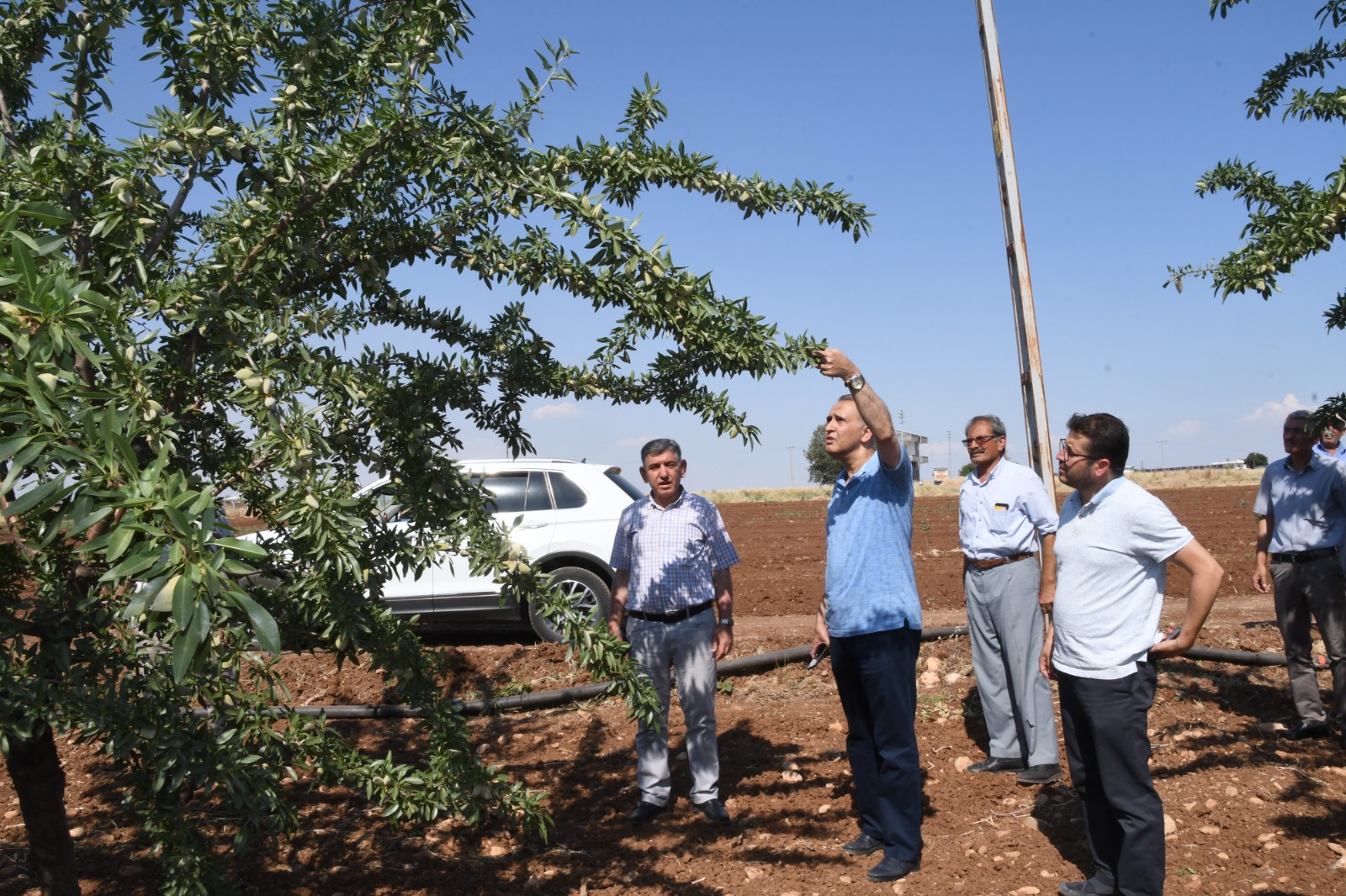 Adıyaman, Güneydoğu'nun Meyve Fidanı İhtiyacını Karşılıyor