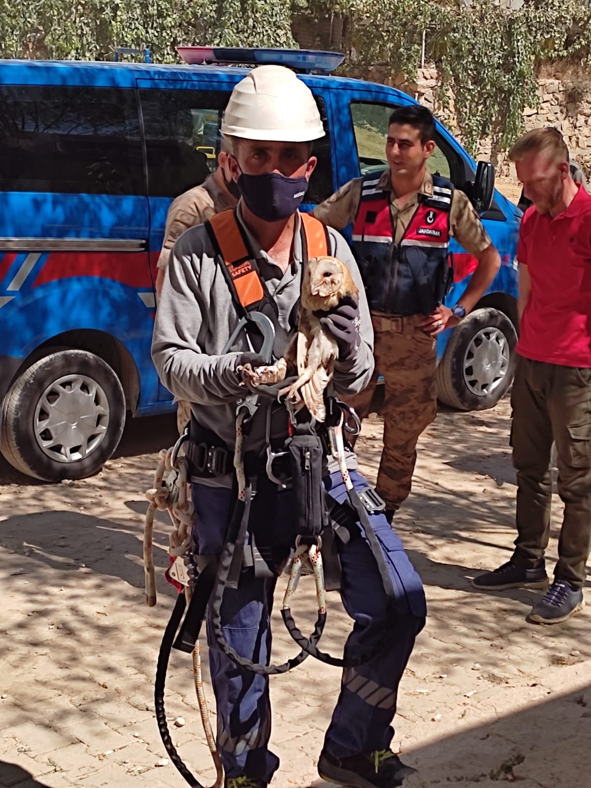 Mahsur Kalan Baykuş'u AKEDAŞ Ekipleri Kurtardı