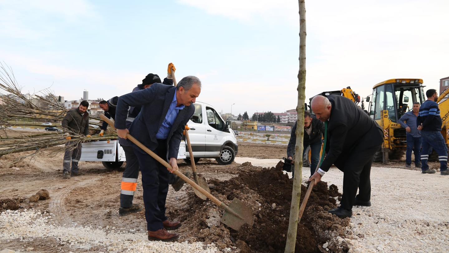Koru Park’ta Ağaç Dikimine Başlandı