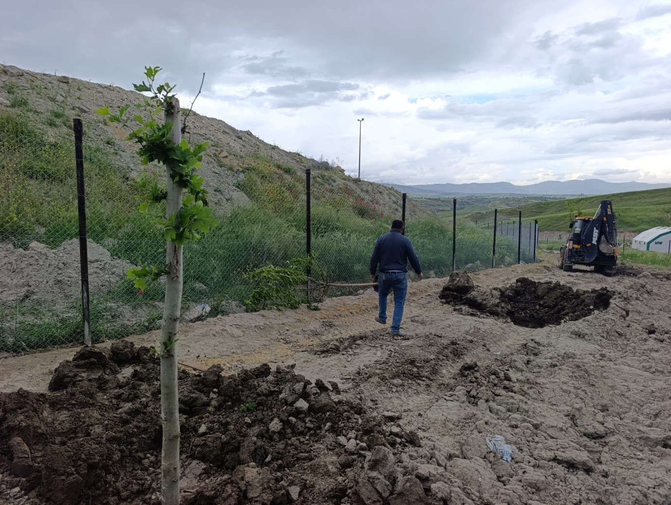 Adıyaman Belediyesi 3 bin gezen tavuk için doğal beslenme alanı oluşturuyor