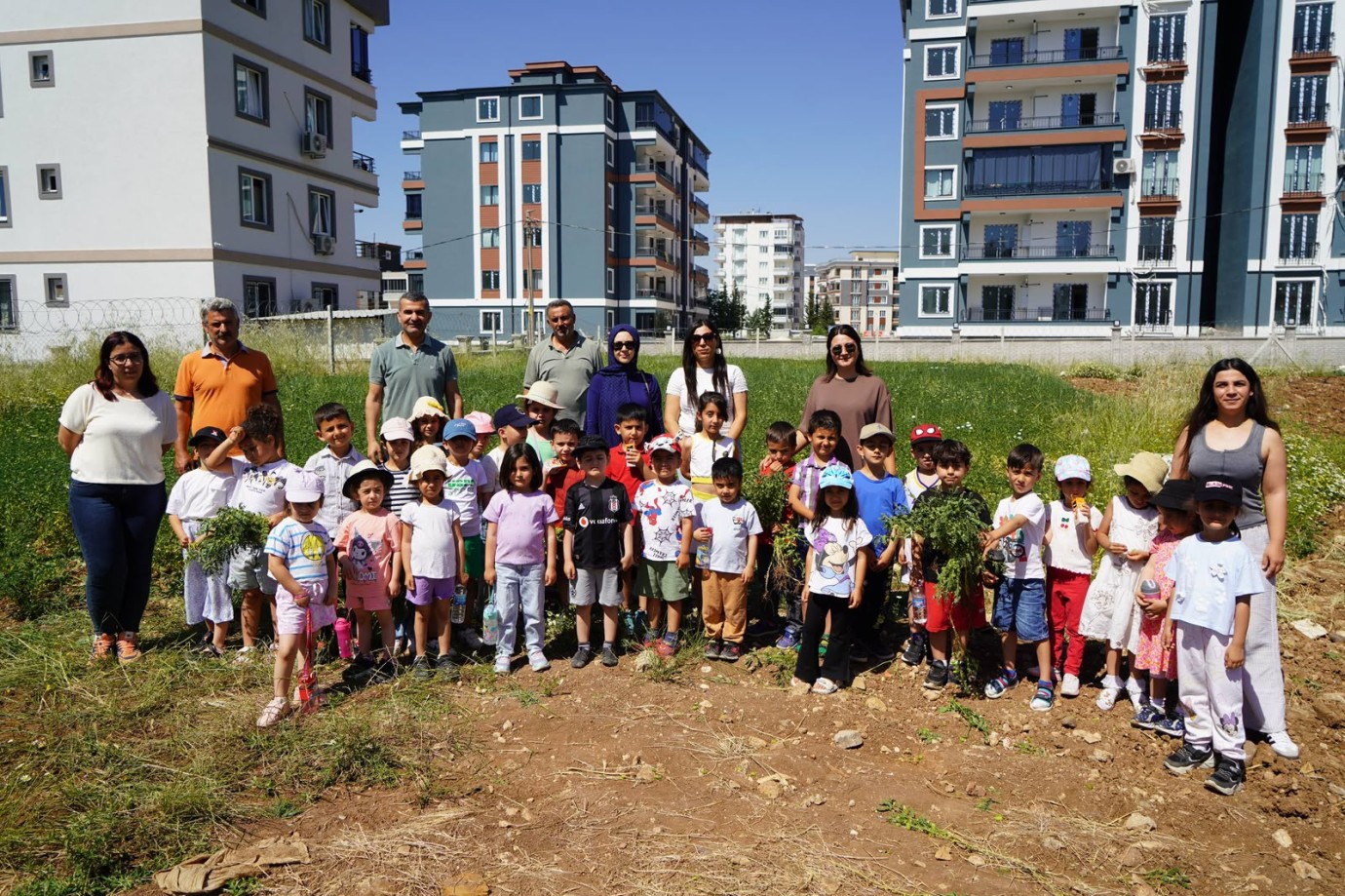 Adıyaman Belediyesinin nohut bahçesinde ilk hasat miniklerden