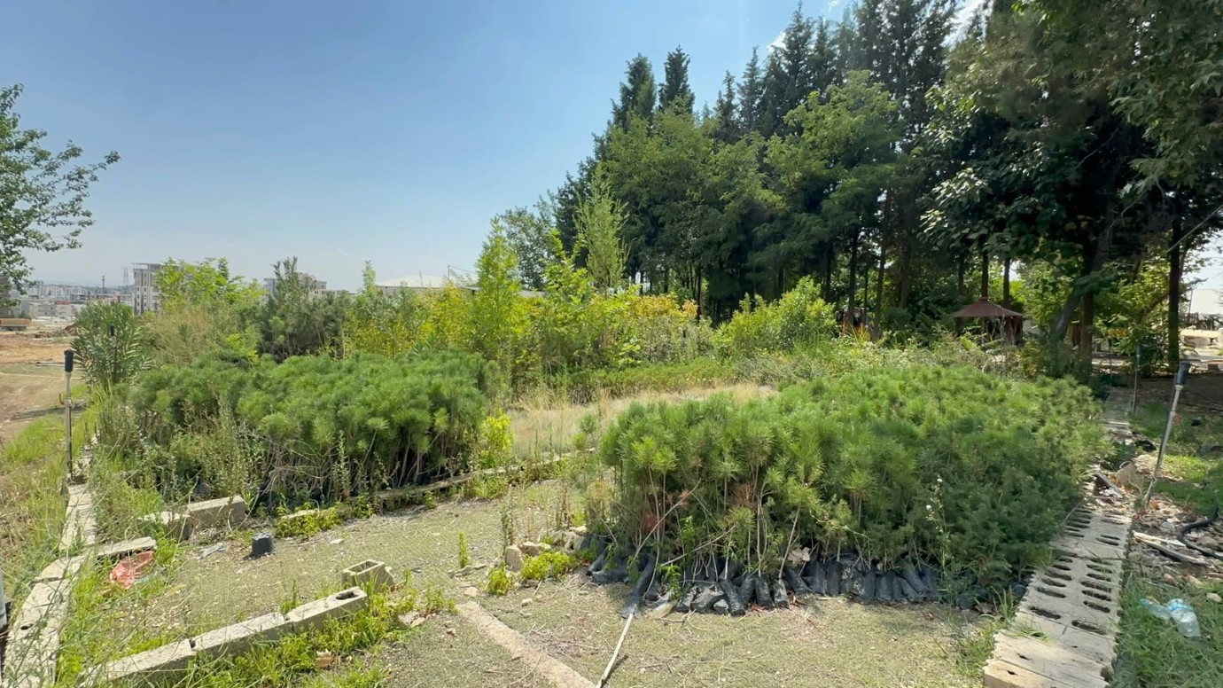Yeşil Adıyaman için dev hamle